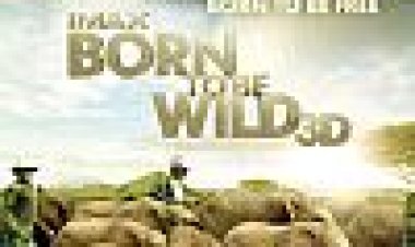 נולדו לטבע כתובית | Born To Be Wild Subtitle