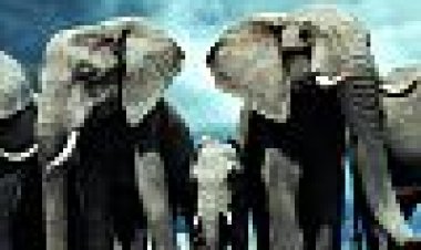 סיפור החיים כתובית | Life Story Subtitle