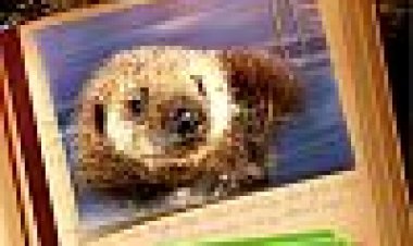 אוטר 501 כתובית | Otter 501 Subtitle