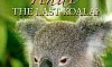 ינדי הקואלה האחרונה כתובית | Yindi The Last Koala Subtitle