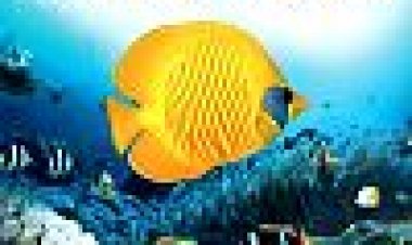 אושן קרקס 3D: מתחת למים מסביב לעולם / כתובית | Ocean Circus 3D: Underwater Around The World Subtitle