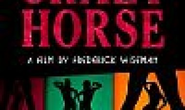 סוס משוגע כתובית | Crazy Horse Subtitle