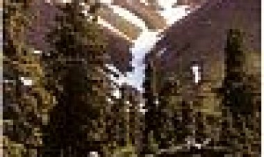 לבד במדבר כתובית | Alone In The Wilderness Subtitle