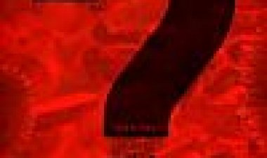 האנטומיה של מגיפת האיידס כתובית | House Of Numbers: Anatomy Of An Epidemic Subtitle