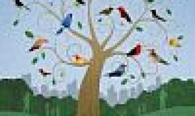 ציפורים: אפקט סנטרל פארק כתובית | Birders: The Central Park Effect Subtitle