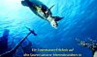 הפחתת קורלנריף 3D כתובית | Faszination Korallenriff 3D Subtitle