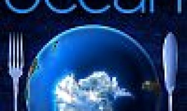 האוקיינוס האחרון כתובית | The Last Ocean Subtitle