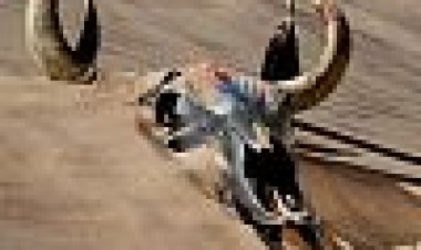 היסטוריה של הנשרים חלק 1 כתובית | History Of The Eagles Part One Subtitle