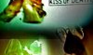 Meth: נשיקה של מוות כתובית | Meth: Kiss Of Death Subtitle