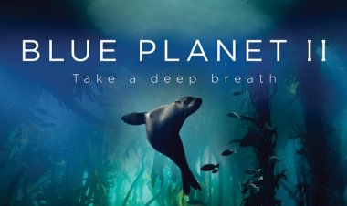 הכוכב הכחול 2 כתובית | Blue Planet II Subtitle