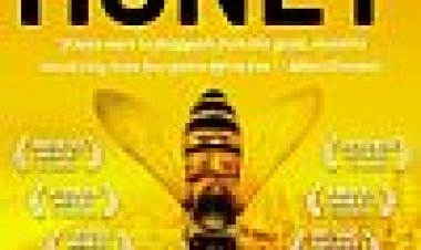 יותר מדבש כתובית | More Than Honey Subtitle