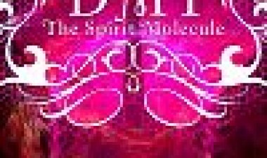 המולקולה הרוחנית כתובית | DMT: The Spirit Molecule Subtitle