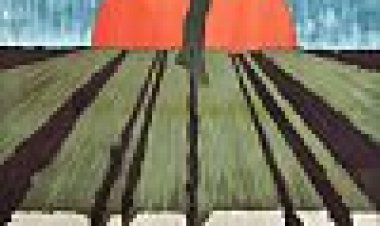 אדמה כתובית | Tomorrow's A Wonderful Day Subtitle