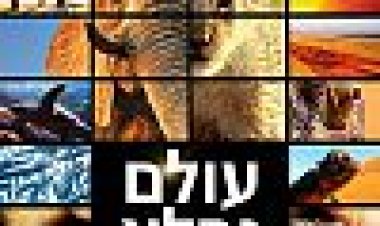 עולם נפלא כתובית | Enchanted Kingdom 3D Subtitle