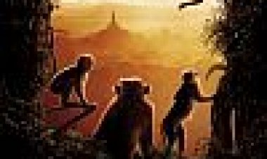 ממלכת הקופים כתובית | Monkey Kingdom Subtitle