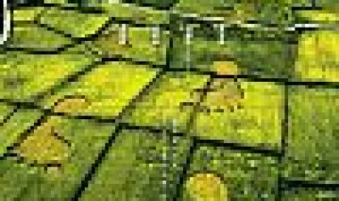 מעבר ליופי: טייוואן מלמעלה כתובית | Beyond Beauty: Taiwan From Above Subtitle