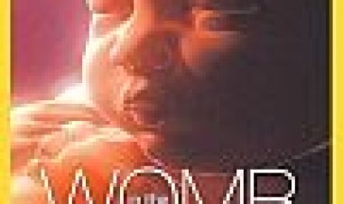 בתוך הרחם כתובית | Life Before Birth Subtitle