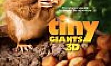 ענקים קטנטנים כתובית | Tiny Giants Subtitle