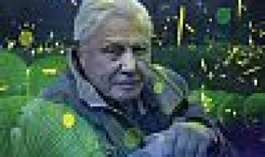 אטנבורו היצורים הזוהרים כתובית | Attenborough's Life That Glows Subtitle