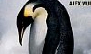 משפחת הקיסרים כתובית | March Of The Penguins Subtitle