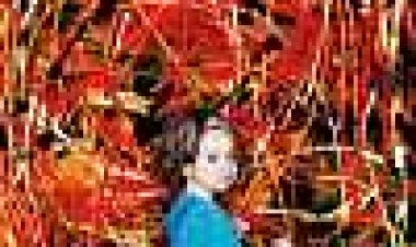 הילד שלי יכול לצייר את זה כתובית | My Kid Could Paint That Subtitle