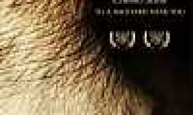 הפיל חי בחדר כתובית | The Elephant In The Living Room Subtitle