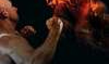 נשק אנושי (סדרה) כתובית | Human Weapon Subtitle