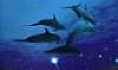 אטלנטיס כתובית | Atlantis Subtitle