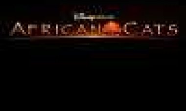 חתולים אפריקאים כתובית | African Cats Subtitle