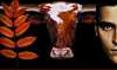 ארת'לינגס כתובית | Earthlings Subtitle