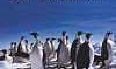 אנטארקטיקה כתובית | Antarctica Subtitle