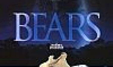 דובים כתובית | Bears Subtitle