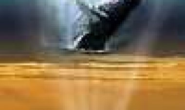 Waldreamers כתובית | Whaledreamers Subtitle