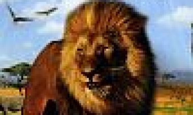 מדהים אפריקה 3D כתובית | Faszination Afrika 3D Subtitle