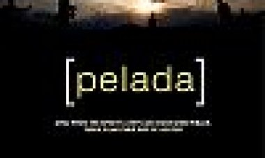 פלדה כתובית | Pelada Subtitle