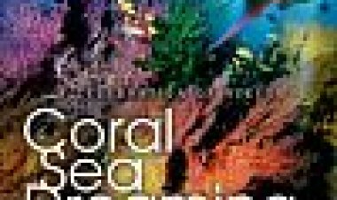 אלמוג ים חולמים: להתעורר כתובית | Coral Sea Dreaming: Awaken Subtitle