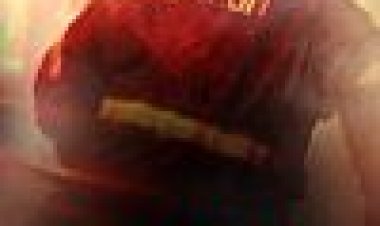 לשרוף כתובית | Burn Subtitle