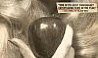 טבלואיד כתובית | Tabloid Subtitle