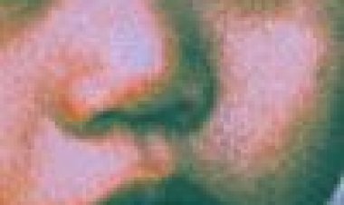 לבבות ומוחות כתובית | Hearts And Minds Subtitle