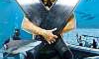 מימי הכרישים כתובית | Sharkwater Subtitle