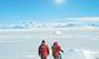 מפגשים בסוף העולם כתובית | Encounters At The End Of The World Subtitle