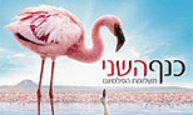 כנף השני: תעלומת הפלמינגו כתובית | The Crimson Wing: Mystery Of The Flamingos Subtitle
