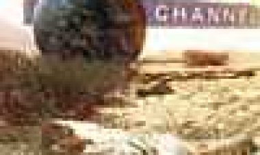 עלייתם של משחקי המחשב כתובית | Rise Of The Video Game Subtitle