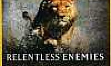 אויבים חסרי רחמים כתובית | Relentless Enemies Subtitle