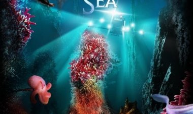 הרי-הגעש של מעמקי הים כתובית | Volcanoes Of The Deep Sea Subtitle