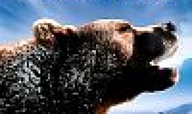 רוסיה - ממלכה של טיגריסים דובים וולקנו כתובית | Russland - Im Reich Der Tiger, B?ren Und Vulkane Subtitle