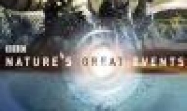 האירועים הגדולים של הטבע כתובית | BBC - Nature's Great Events Subtitle