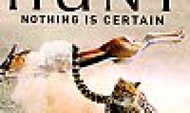 המצוד כתובית | The Hunt Subtitle