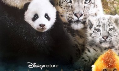 נולד בסין כתובית | Born in China Subtitle