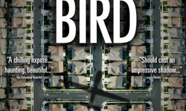 ציפורים חופשיות כתובית | National Bird Subtitle